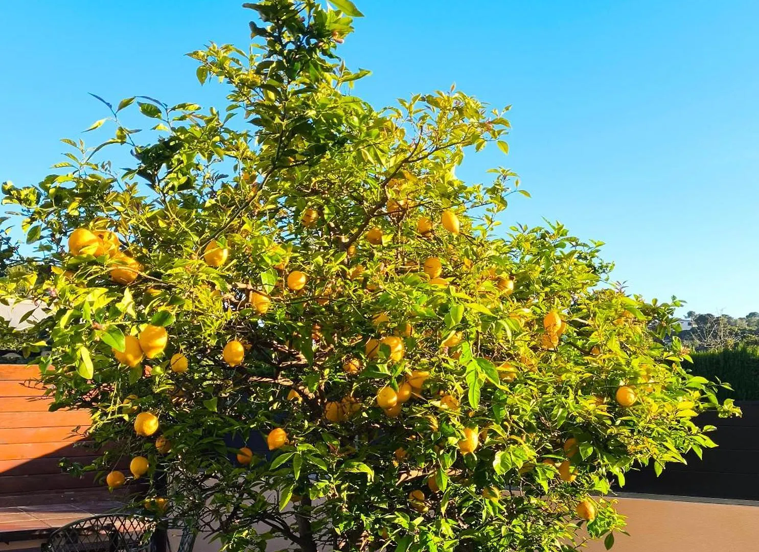 Adosado Con Jardin En Los Xalets De Salou Spain
